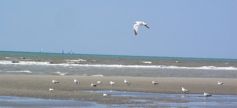 fort mahon plage 12 768x352