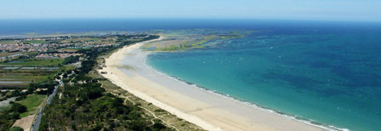 plages de lile de re 12 768x265